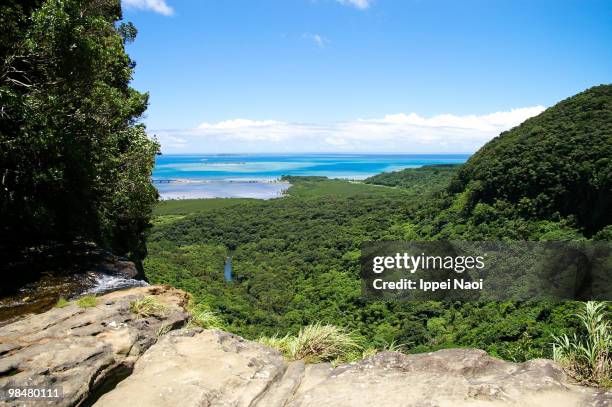 tropical rainforest and coral reef from above - yaeyama islands stock pictures, royalty-free photos & images