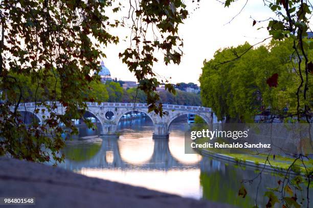 reflexion at rome - reflexion stock pictures, royalty-free photos & images