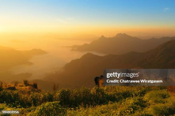 view of phu chi fa at chiang rai, thailand - wiratgasem stock pictures, royalty-free photos & images