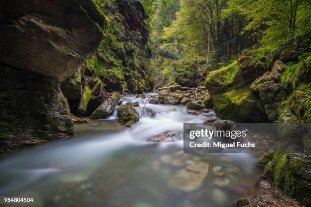 Fucha River Photos and Premium High Res Pictures Getty Images