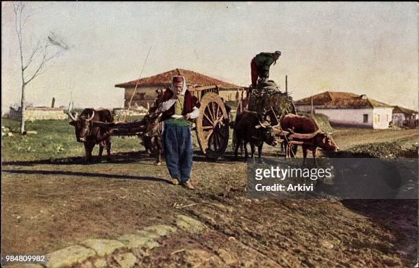 Ak Albanisches Büffelgespann, Albanische Bauern bei der Arbeit, Bauernhof