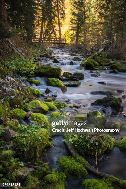 babbling brook near maroon bells - forêt nationale de white river photos et images de collection
