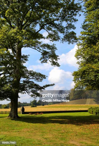 petworth grounds by mike hope - petworth stock pictures, royalty-free photos & images