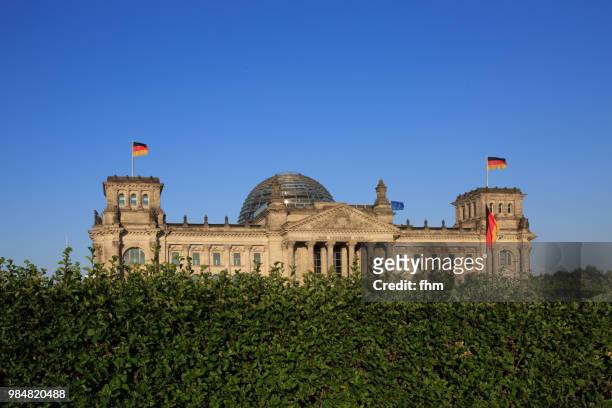 reichstag building with a bush in the foreground (german parliament building) - berlin, germany - architrave stock pictures, royalty-free photos & images
