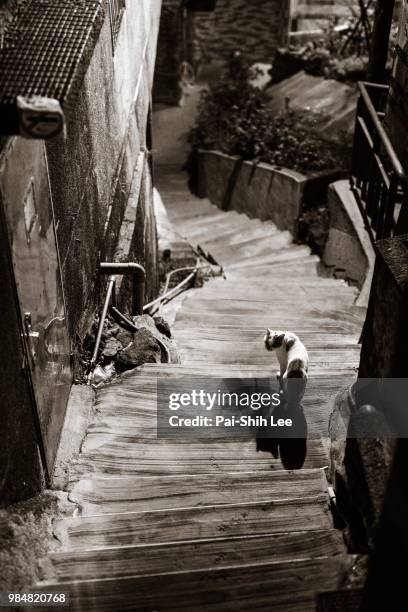 alley - pai stockfoto's en -beelden