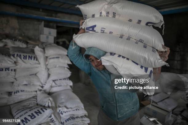 Palestinian man carries sacks of flour provided by the United Nations Relief and Works Agency for Palestine Refugees in the Near East at a...