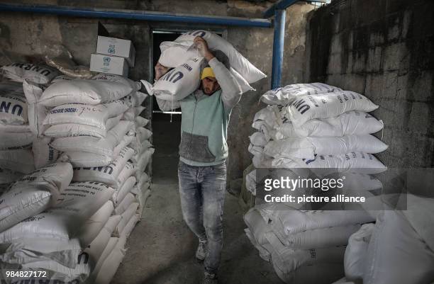 Palestinian man carries sacks of flour provided by the United Nations Relief and Works Agency for Palestine Refugees in the Near East at a...