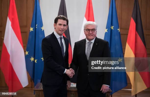 German president Frank-Walter Steinmeier welcomes the Austrian chancellor Sebastian Kurz at Bellevue Palace in Berlin, Germany, 18 January 2018....