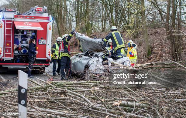 Emergency services work to remove a vehicle destroyed by a falling tree in Moers, Germany, 18 January 2018. The driver was heavily injured - heavy...