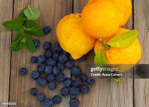 blueberries and lemons - lemon leaf stock pictures, royalty-free photos & images