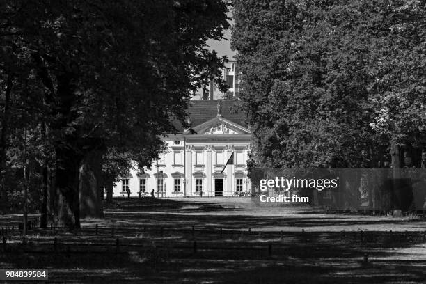 schloss bellevue (bellevue castle) - berlin, germany - bellevue skyline stock-fotos und bilder