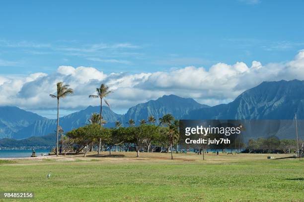 ハワイ島 - クアロア公園 ストックフォトと画像