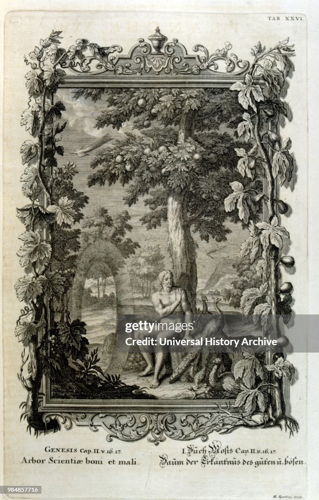 Copperplate engraving from 'Physica Sacra' by the Swiss scholar