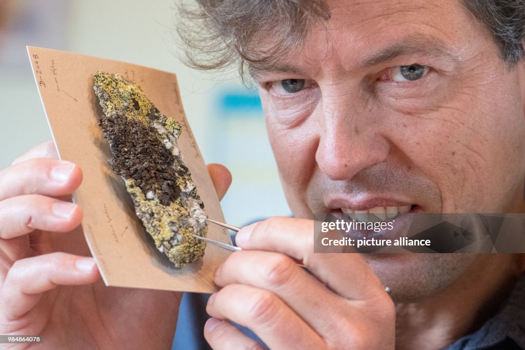 The science of Lichens