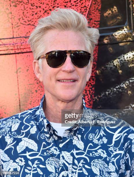 Actor Matthew Modine attends the premiere of Columbia Pictures' "Sicario: Day Of The Soldado" at Regency Village Theatre on June 26, 2018 in...