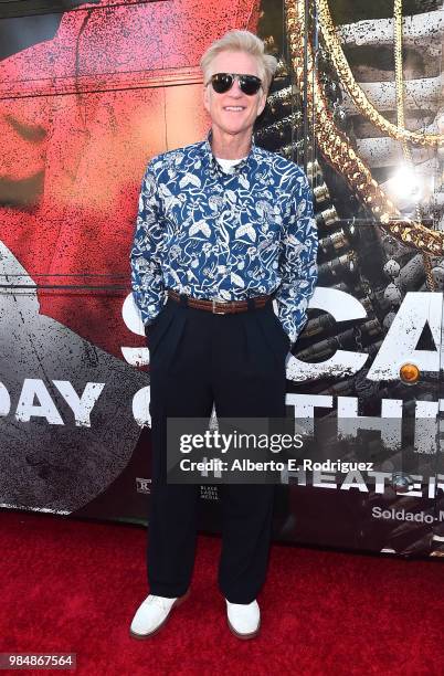 Actor Matthew Modine attends the premiere of Columbia Pictures' "Sicario: Day Of The Soldado" at Regency Village Theatre on June 26, 2018 in...