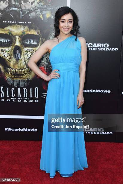 Aimee Garcia attends Columbia Pictures' "Sicario: Day Of The Soldado" Premiere at Westwood Regency Theater on June 26, 2018 in Los Angeles,...