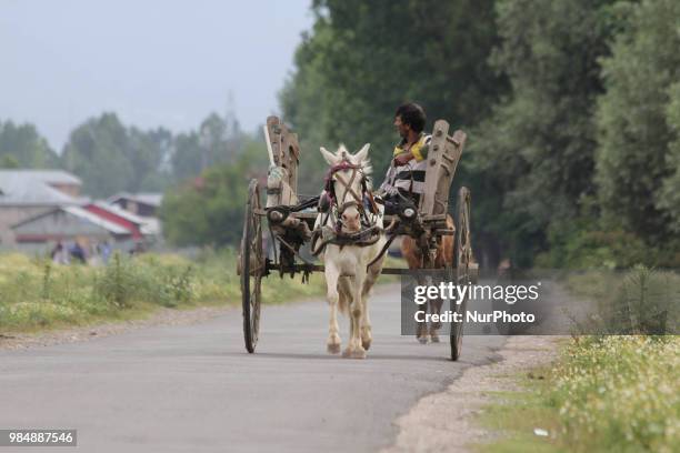 Horse cart can be seen in the outskirts of Sopore town of District Baramulla, Jammu and Kashmir, India, on 27 June 2018.
