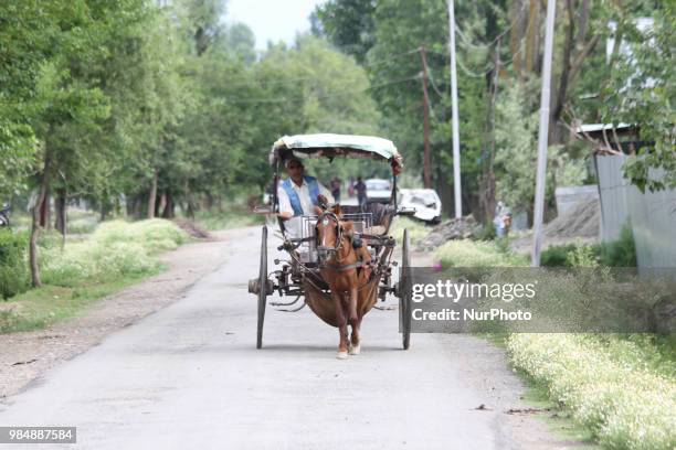 Horse cart can be seen in the outskirts of Sopore town of District Baramulla, Jammu and Kashmir, India, on 27 June 2018.