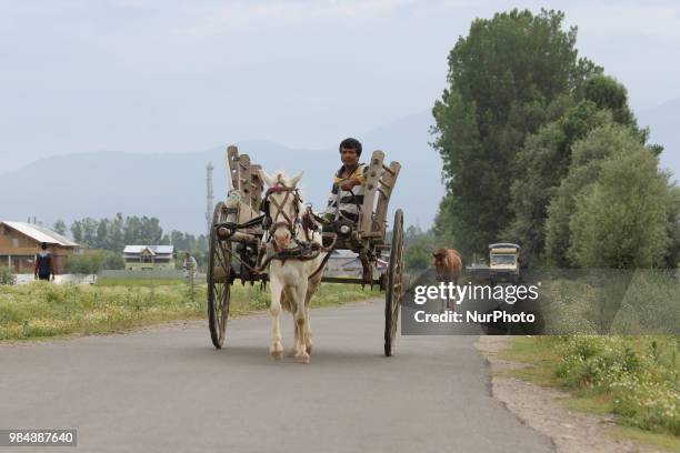 Horse cart can be seen in the outskirts of Sopore town of District Baramulla, Jammu and Kashmir, India, on 27 June 2018.
