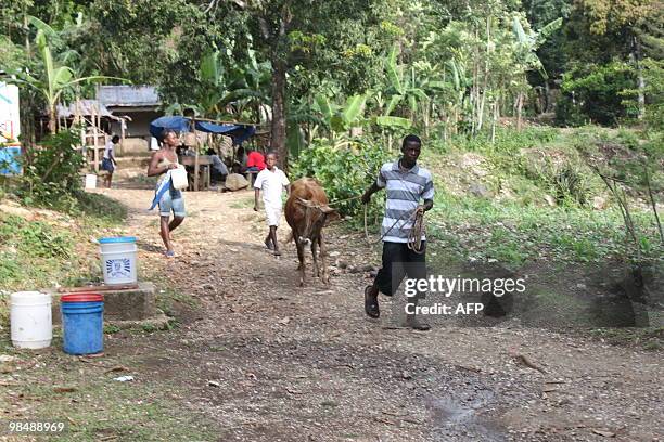 Haitians are pictured in Parques, a remote town south of Leogane, Haiti, April 14, 2010. About 300 families from Port-au-Prince fled in the poor...