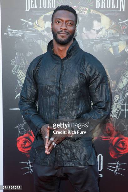 Aldis Hodge attends the premiere of Columbia Pictures' "Sicario: Day Of The Soldado" at Regency Village Theatre on June 26, 2018 in Westwood,...