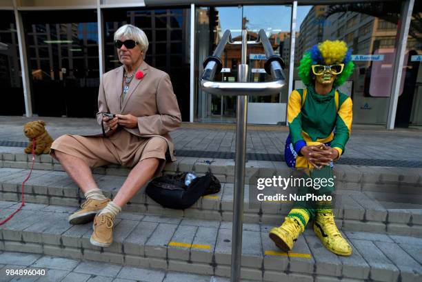 Ana Luiza dos Anjos Garcez is a fanatical fan of the Seleção and a stamped figure that calls attention to games, protests and other televised events...