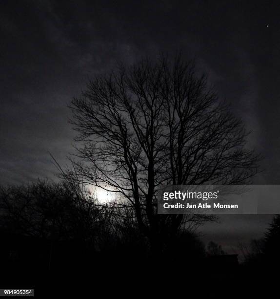 in the moonlight - atle stock pictures, royalty-free photos & images