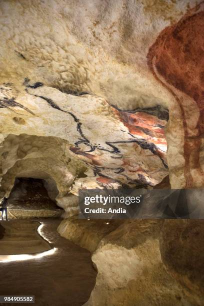 Lascaux IV - Montignac-Lascaux International Centre for Cave Art. End of works. An almost complete copy of the original cave .