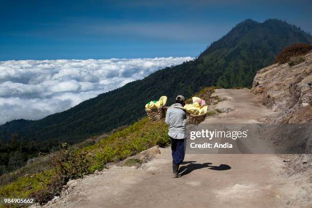 4,427 Java (Island) Stock Photos, High-Res Pictures, and Images - Getty ...