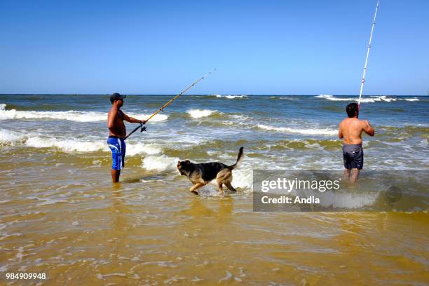 Uruguay, La Floresta, small city and resort on the Costa de Oro . Two anglers and their dog in the waves.