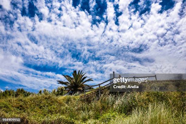 Uruguay, La Floresta, small city and resort on the Costa de Oro . Overhanging the beach, a woman is looking at the landscape/view, from a panoramic...