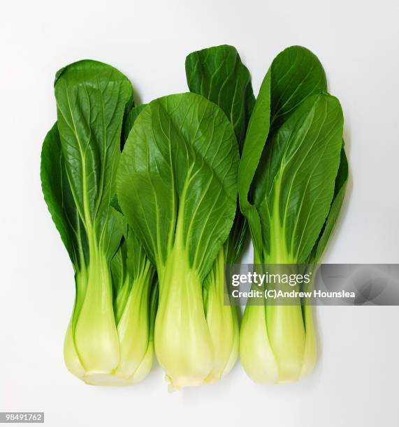 a trio of bok choi - bok choy stock pictures, royalty-free photos & images