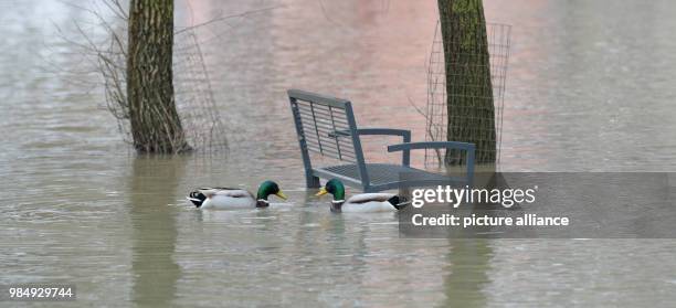 The river Woernitz overflowed the banks in Harburg/Schwaben, Germany, 23 January 2018. The rainfalls of the past days and the snow melting due to the...