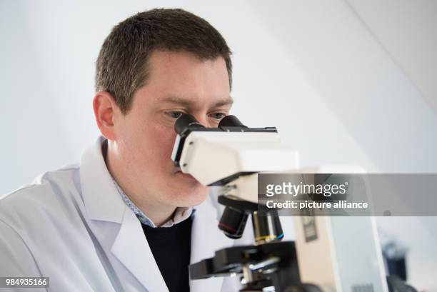 The head of the national reference centre for invasive fungal infections, Oliver Kurzai, looking into a microscope at a laboratory of the University...