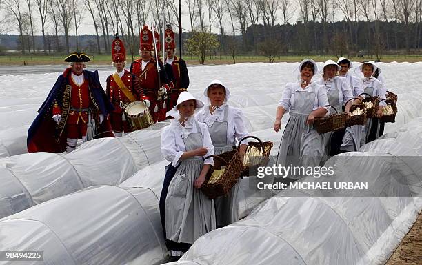 Men and women in historic costumes pose on an asparagus field in Zauchwitz near Beelitz, eastern Germany, to open the asparagus harvest season on...