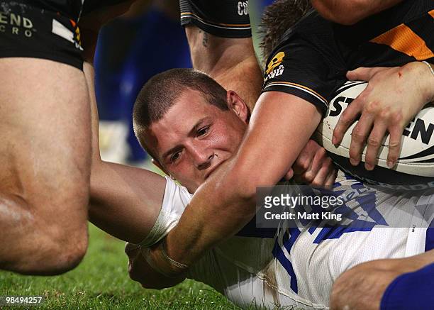 Josh Morris of the Bulldogs is wrapped up in a tackle during the round six NRL match between the Wests Tigers and the Canterbury Bulldogs at the...