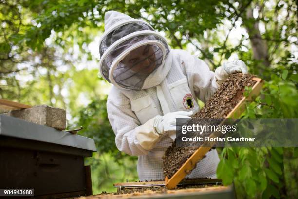 Beekeeper examining her bee colonies on May 18, 2018 in Boxberg, Germany.
