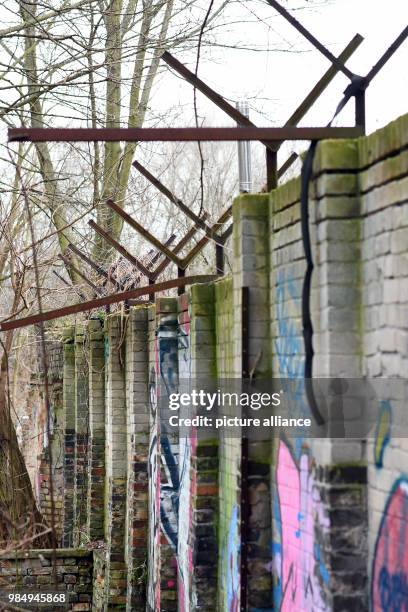 An approximately 80-metre-long piece of the Berlin Wall stands in a forest area in Pankow in Berlin, Germany, 24 January 2018. Nearly thirty years...