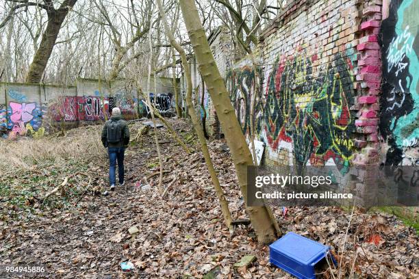 An approximately 80-metre-long piece of the Berlin Wall stands in a forest area in Pankow in Berlin, Germany, 24 January 2018. Nearly thirty years...