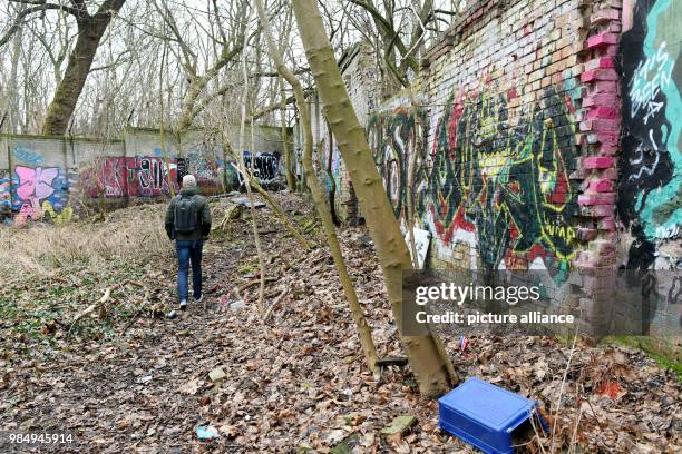 Dpatop - An approximately 80-metre-long piece of the Berlin Wall stands in a forest area in Pankow in Berlin, Germany, 24 January 2018. Nearly thirty...