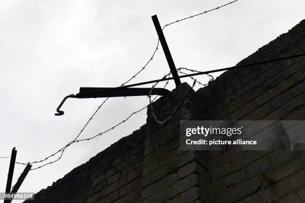 Pieces of barbed wire are stuck on an approximately 80-metre-long piece of the Berlin Wall in a forest area in Pankow in Berlin, Germany, 24 January...