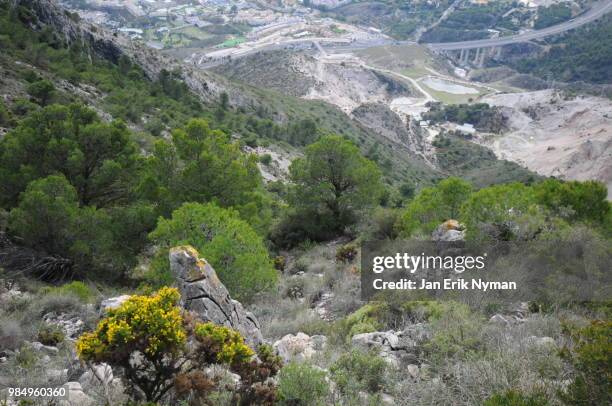 birds view of natur and human interference - natuur stock pictures, royalty-free photos & images