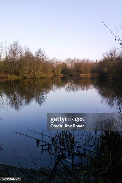 winter's day at the lake - jinx she stock pictures, royalty-free photos & images