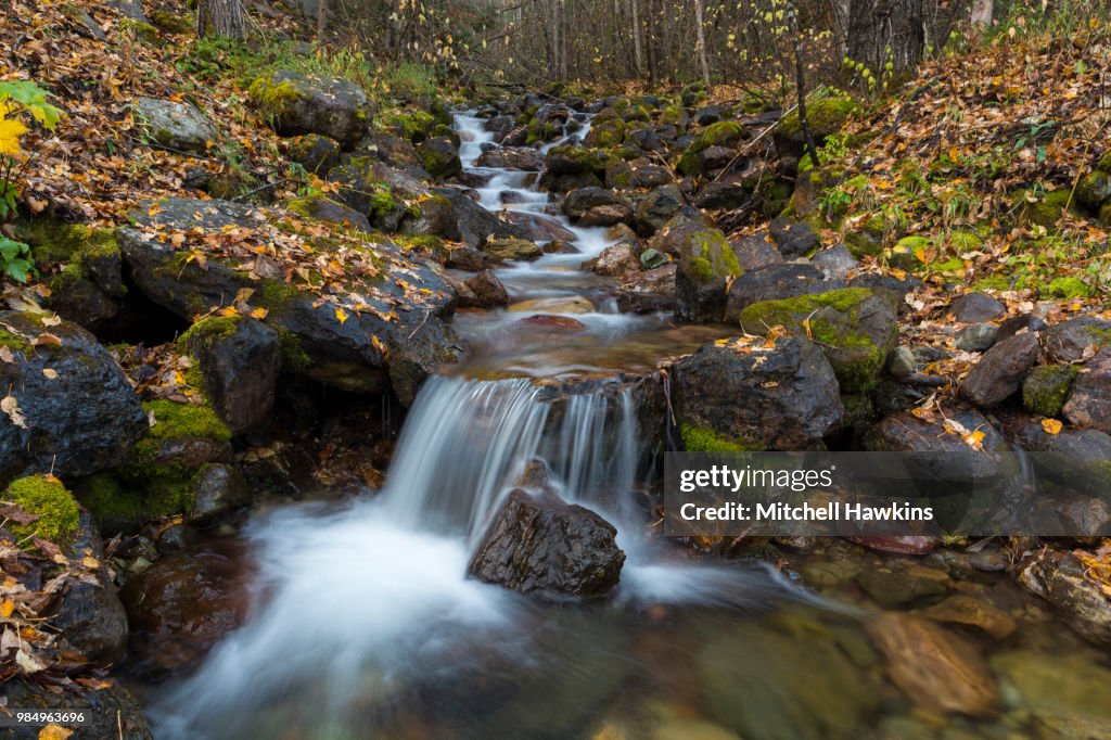 Falls of Fall