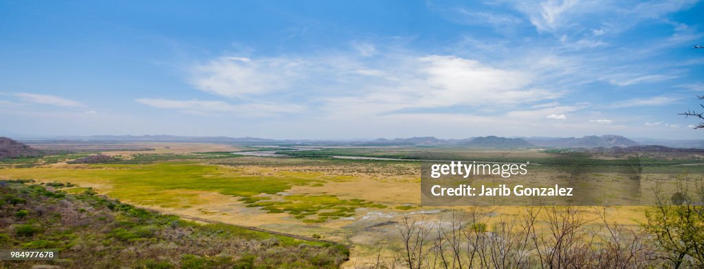 Wetlands at Palo Verde National Park