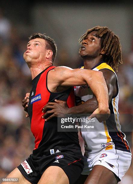 Nic Naitanui of the Eagles and David Hille of the Bombers contest the ruck during the round four AFL match between the West Coast Eagles and the...