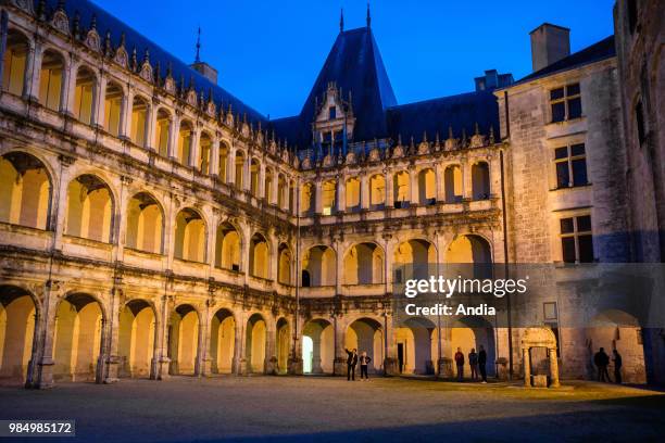 La Rochefoucauld : Chateau de la Rochefoucauld, a castle built between the XIVth and the XVIIth century on a rock overhanging the Tardoire river....