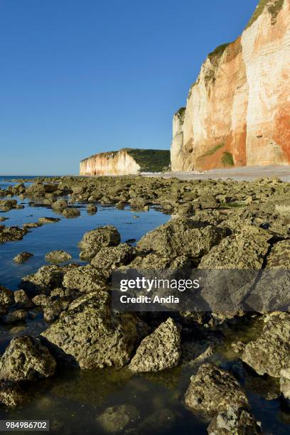 Cliffs between Les Petites-Dalles and Les Grandes-Dalles, two hamlets along the 'Cote d'Albatre' , in the area called 'Pays de Caux'.