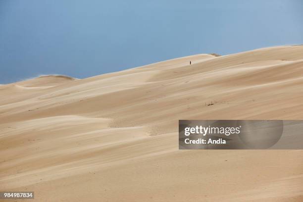 La Teste de Buch in the Arcachon Bay: man in the distance on the dune of Pyla.